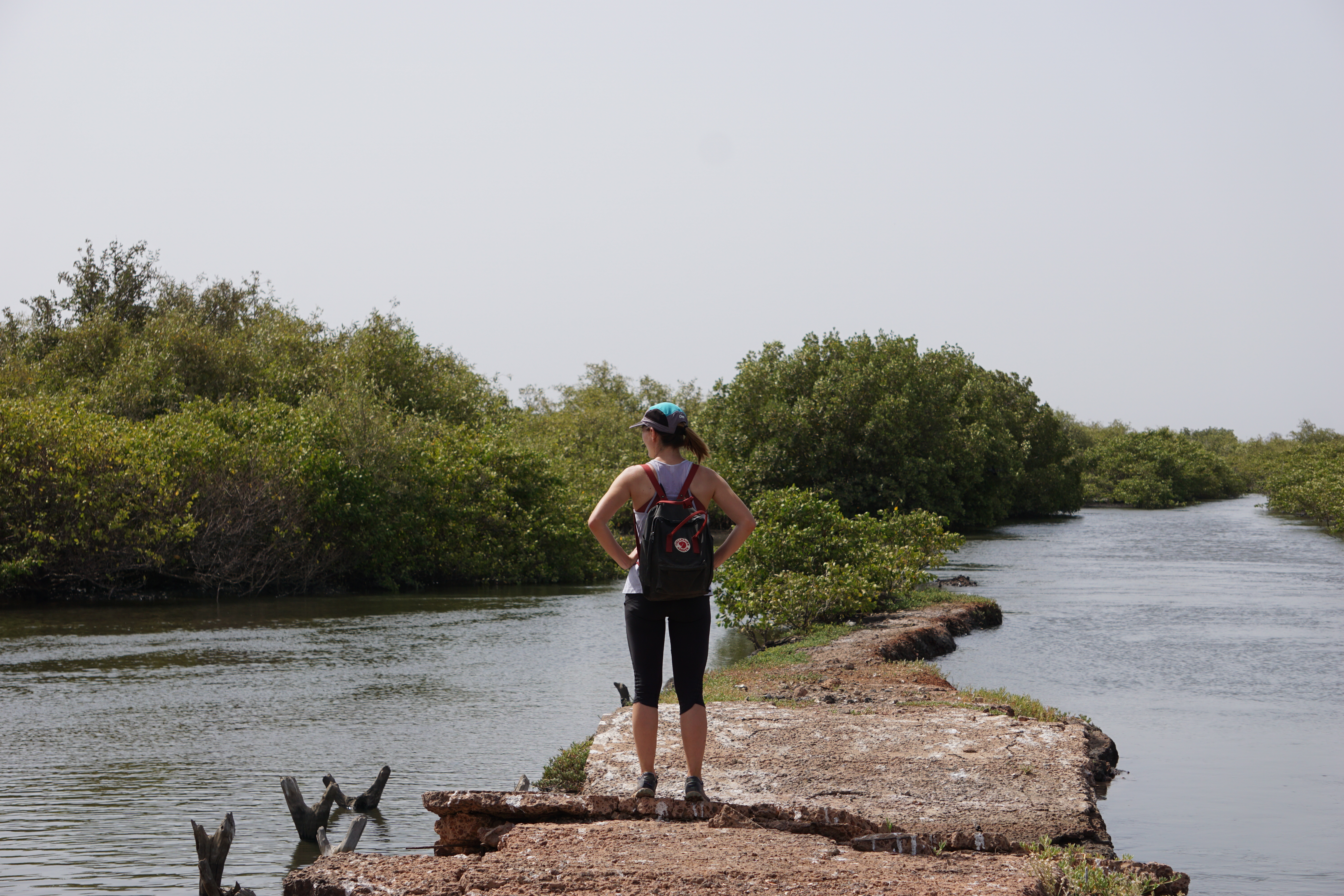 Checking out the salt flats outside of Keneba, the Gambia